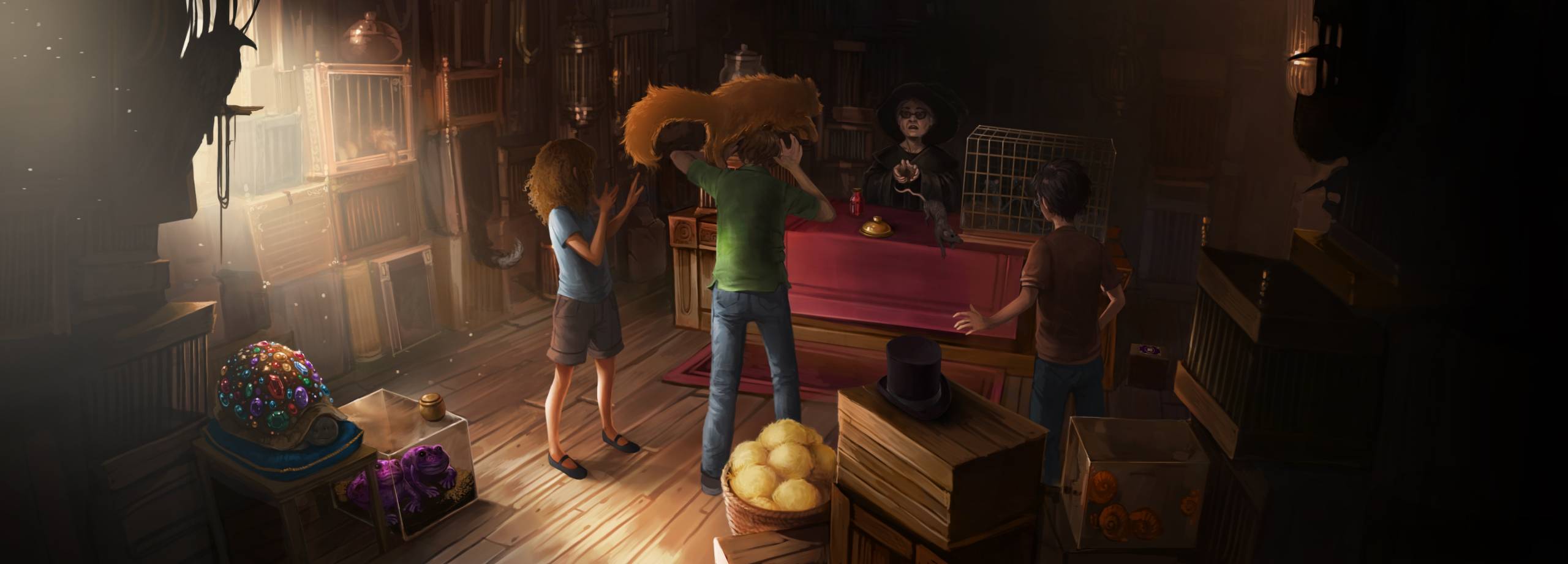 Crookshanks tries to attack Scabbers in the Diagon Alley petstore